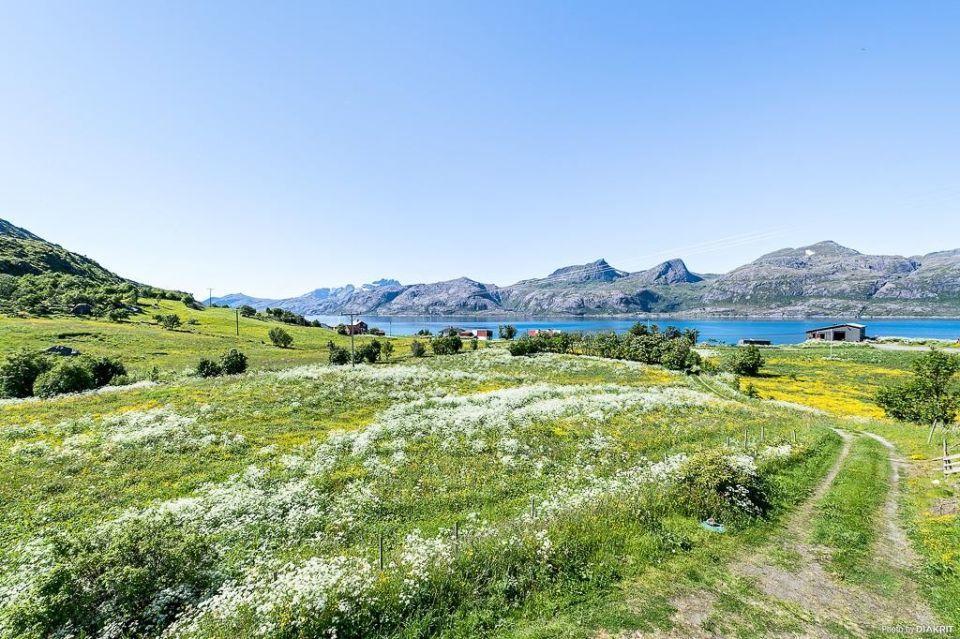 Vevika Lofoten Villa Gravdal  Kültér fotó